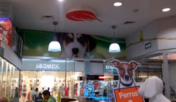 Arquitectura Retail